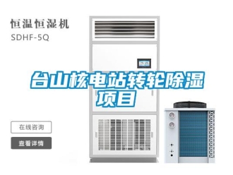 常見問題臺山核電站轉(zhuǎn)輪除濕項(xiàng)目