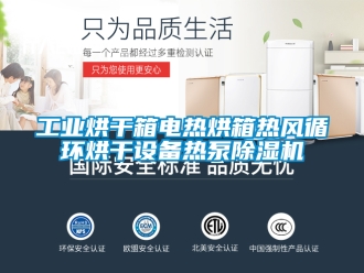 常見問題工業(yè)烘干箱電熱烘箱熱風循環(huán)烘干設備熱泵除濕機