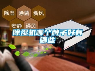 行業(yè)新聞除濕機(jī)哪個(gè)牌子好有哪些