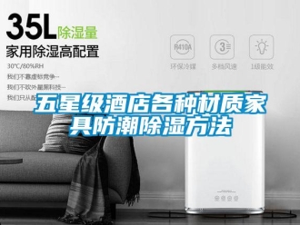 常見問題五星級酒店各種材質家具防潮除濕方法