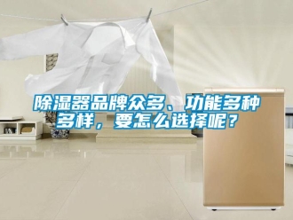 常見問題除濕器品牌眾多、功能多種多樣，要怎么選擇呢？