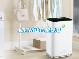 常見問題如何防止狗糧受潮