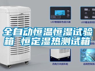 知識百科全自動恒溫恒濕試驗箱 恒定濕熱測試箱