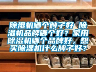 企業新聞除濕機哪個牌子好 除濕機品牌哪個好？家用除濕機哪個品牌好，想買除濕機什么牌子好？