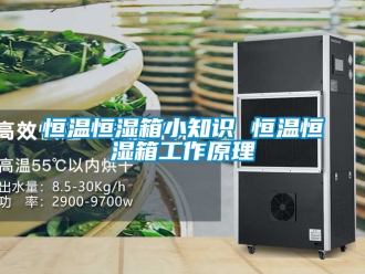 知識(shí)百科恒溫恒濕箱小知識(shí) 恒溫恒濕箱工作原理