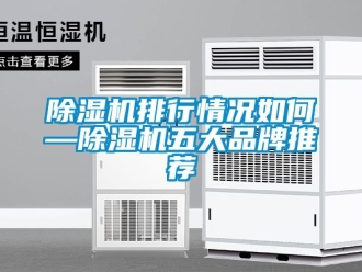 企業(yè)新聞除濕機(jī)排行情況如何—除濕機(jī)五大品牌推薦