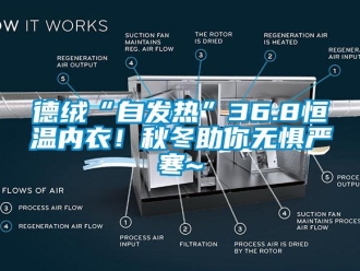 知識百科德絨“自發熱”36.8恒溫內衣！秋冬助你無懼嚴寒~