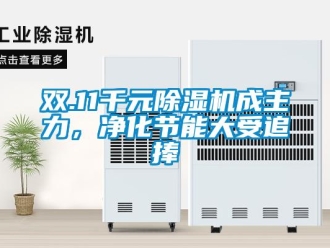 行業(yè)新聞雙.11千元除濕機成主力，凈化節(jié)能大受追捧