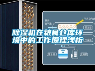 企業(yè)新聞除濕機在糧食倉庫環(huán)境中的工作原理淺析