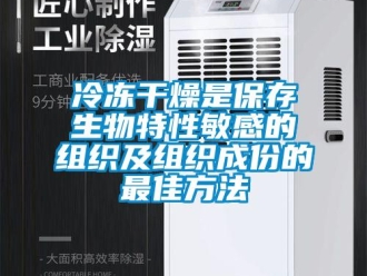 行業新聞冷凍干燥是保存生物特性敏感的組織及組織成份的最佳方法