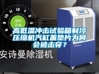 常見問題高低溫沖擊試驗箱制冷壓縮機汽缸蓋墊片為何會被擊穿？