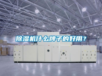 行業新聞除濕機什么牌子的好用？