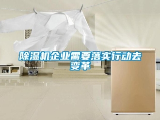 常見問題除濕機企業需要落實行動去變革