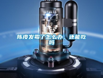 常見問題陳皮發霉了怎么辦，還能吃嗎