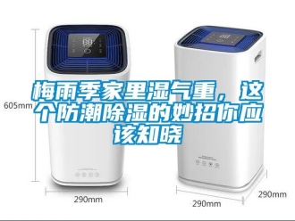 常見問題梅雨季家里濕氣重，這個防潮除濕的妙招你應該知曉