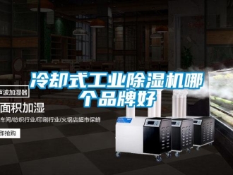 常見問題冷卻式工業(yè)除濕機(jī)哪個品牌好