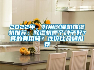企業新聞2022年，好用除濕機抽濕機推薦：除濕機哪個牌子好？真的有用嗎？性價比品牌推薦