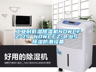 常見問題工業(yè)耐低溫除濕機NDWCFZ-7S NDWCFZ-8.8S 除濕防潮設(shè)備