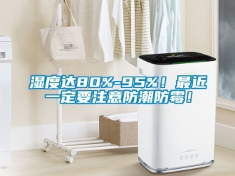 常見問題濕度達80%-95%！最近一定要注意防潮防霉！
