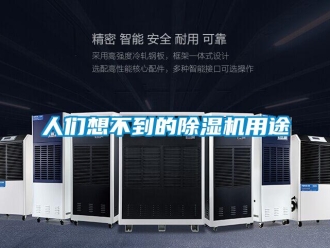行業新聞人們想不到的除濕機用途