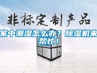常見(jiàn)問(wèn)題家中潮濕怎么辦？除濕機(jī)來(lái)幫忙！