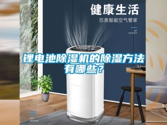 行業(yè)新聞鋰電池除濕機的除濕方法有哪些？