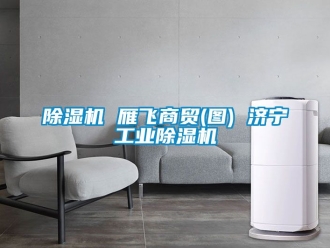 常見問題除濕機 雁飛商貿(圖) 濟寧工業除濕機