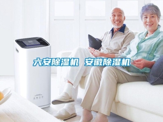 行業(yè)新聞六安除濕機(jī) 安徽除濕機(jī)