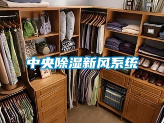 行業(yè)新聞中央除濕新風(fēng)系統(tǒng)