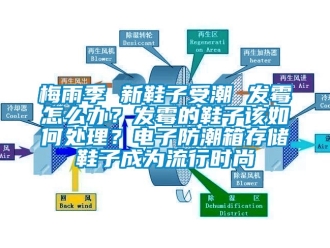 常見問題梅雨季 新鞋子受潮 發(fā)霉怎么辦？發(fā)霉的鞋子該如何處理？電子防潮箱存儲鞋子成為流行時尚