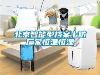 常見問題北京智能型檔案十防廠家恒溫恒濕