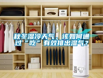 常見問題秋冬濕冷天氣，該如何通過“吃”有效排出濕氣？