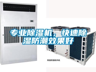 行業(yè)新聞專業(yè)除濕機(jī)，快速除濕防潮效果好