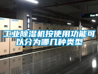 常見(jiàn)問(wèn)題工業(yè)除濕機(jī)按使用功能可以分為哪幾種類(lèi)型