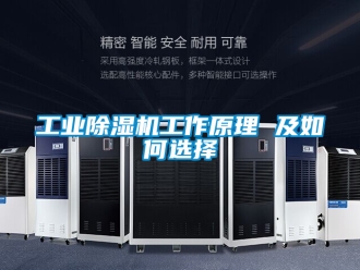 常見(jiàn)問(wèn)題工業(yè)除濕機(jī)工作原理 及如何選擇