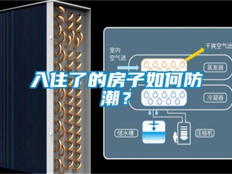 常見問題入住了的房子如何防潮？