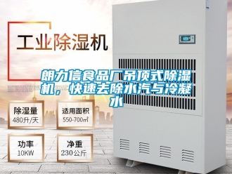 行業新聞朗力信食品廠吊頂式除濕機，快速去除水汽與冷凝水