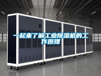 常見問題一起來了解工業除濕機的工作原理