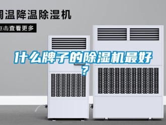 行業(yè)新聞什么牌子的除濕機最好？