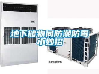 企業新聞地下儲物間防潮防霉小妙招