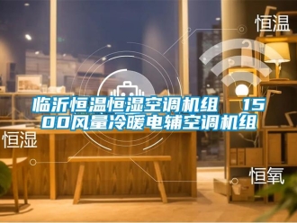 知識百科臨沂恒溫恒濕空調機組  1500風量冷暖電輔空調機組