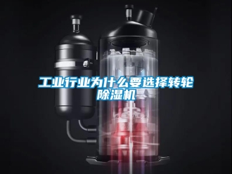 常見問題工業(yè)行業(yè)為什么要選擇轉(zhuǎn)輪除濕機