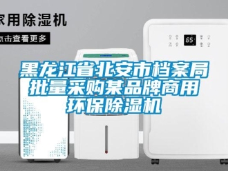行業(yè)新聞黑龍江省北安市檔案局批量采購(gòu)某品牌商用環(huán)保除濕機(jī)