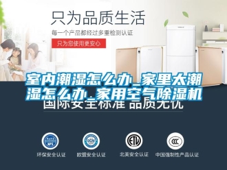 常見問題室內潮濕怎么辦_家里太潮濕怎么辦_家用空氣除濕機