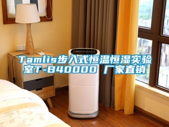 常見問題Tamlis步入式恒溫恒濕實驗室T-B40000 廠家直銷