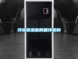 行業新聞冷凍除濕機的循環機制