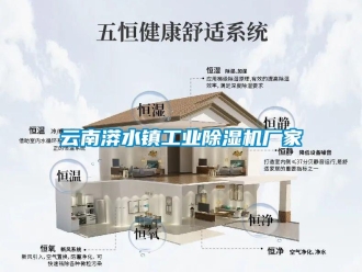 企業(yè)新聞云南漭水鎮(zhèn)工業(yè)除濕機廠家