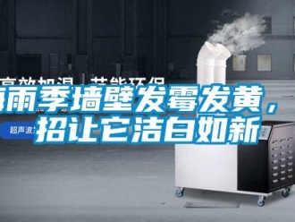 行業(yè)新聞梅雨季墻壁發(fā)霉發(fā)黃，4招讓它潔白如新