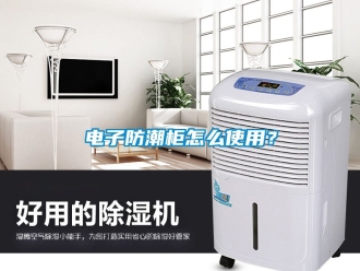 常見問題電子防潮柜怎么使用？