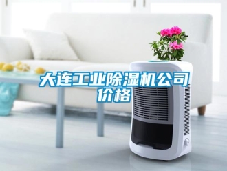 常見問題大連工業(yè)除濕機公司價格